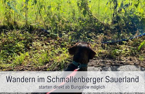 Ferienhaus Dackelglück - Foto 18