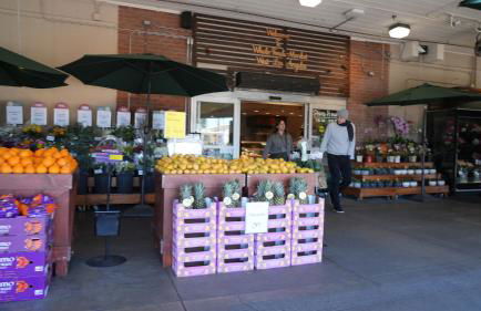 Cozy private Guest House - Foto 65