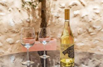 Cas Suis 7 - Foto 26