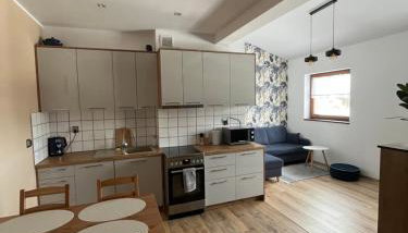Luksusowy przestronny apartament - Foto 4