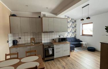 Luksusowy przestronny apartament - Foto 4