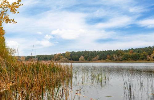 Gemuetlicher Bungalow mit Garten UND Whirlpool in Nakenstorf - Foto 52