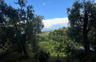 Villa Rosmary - Foto 77