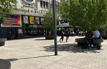 Le Jardin Darcy Liberté Hyper centre gare-ville parking public payant dans la rue - Foto 2