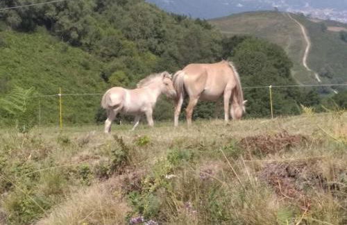 Gite La Grangette de Pauline - Foto 80