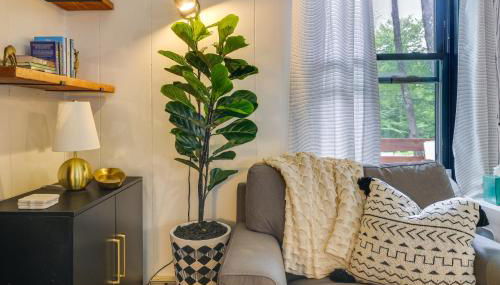 Deck, Fire Pit and Sauna Big Bass Lake Getaway! - Foto 5