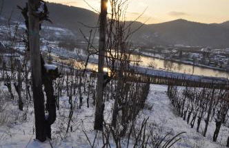 Gästehaus Sehl - Foto 29