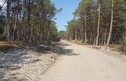 Magico Posto - Foto 68