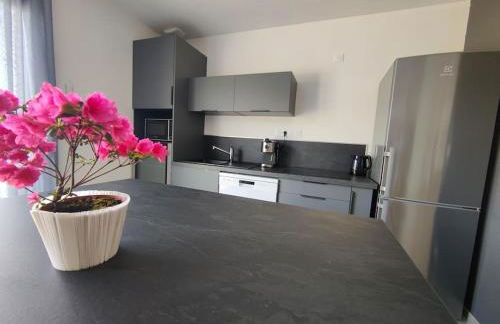 Perroquet & Koala 2 logements 10min du zoo de Beauval et proche château - Foto 25