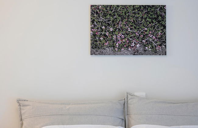 Spring Apartments - Foto 15