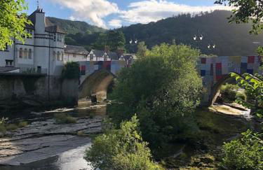 Escape To The Country @ Bron Offa Bach - Foto 34