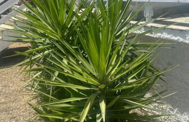 Zante Star Summer House - Photo 24