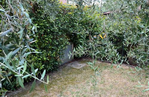 Holiday House La Fornace - Foto 12