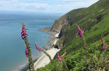 Cloister Park Cottages - Foto 13