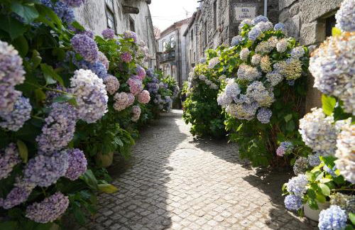 Burgo House - Foto 11