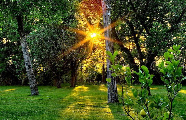 Corte d'Acqua - Foto 35