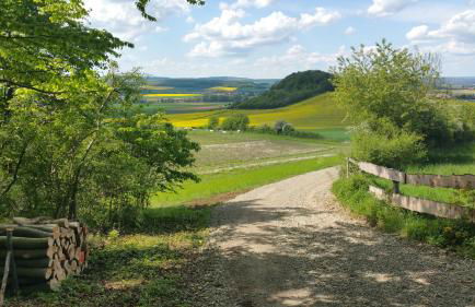 Friedland - Groß Schneen GÖ 10 KM - Foto 10
