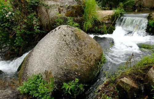 Refúgio House Natura Moinho de Água - Eco House - Foto 7