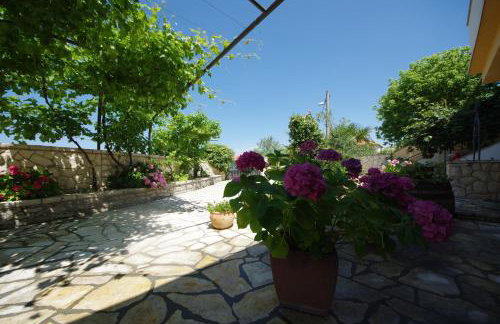 Apartman Marija - Photo 44