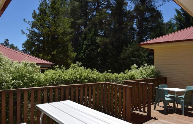 Blackheath Holiday Cabins - Photo 16