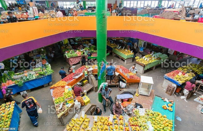 Island Accommodation Suva Premier Hospitality - Photo 62