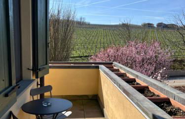 Cascina Baràc - Foto 99