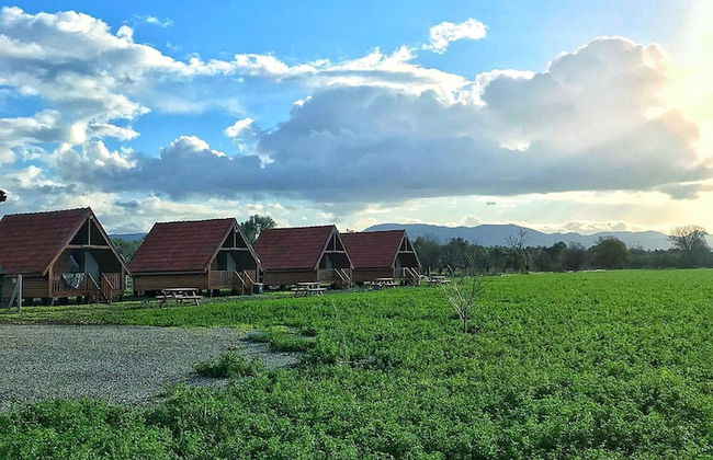 Ayvalık Sural Çiftliği Since 1899 - Foto 34