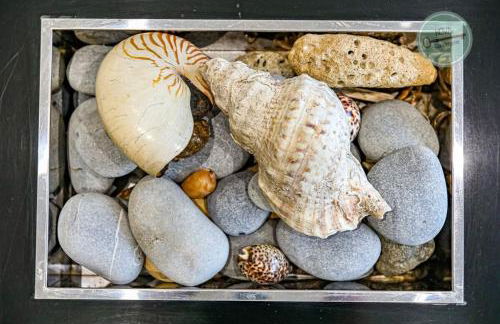 Villa la Fleur des Dunes - Foto 8