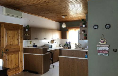 Charoula Pavliani Fthiotidas - Foto 40