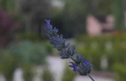 Villa La Corte - Foto 32