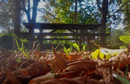 La Canaleja - Photo 21