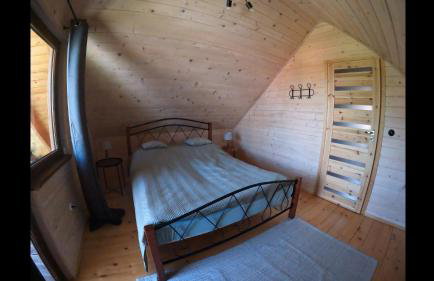 Kwietna łąka na szlaku - Foto 19