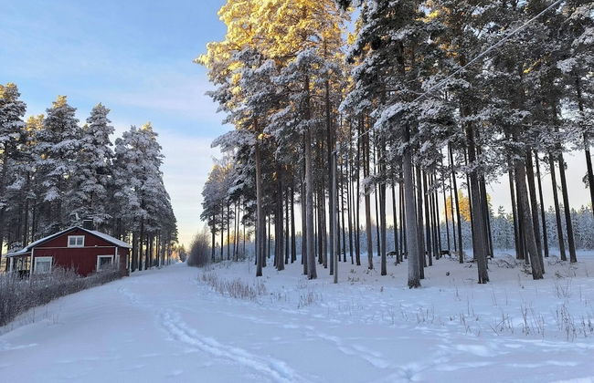 Lapland Pure Nature and More! - Foto 29