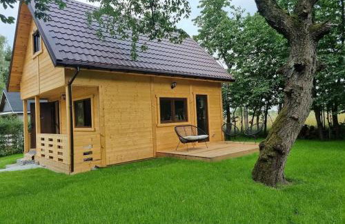 Czereśniowy skrzat II - Foto 1