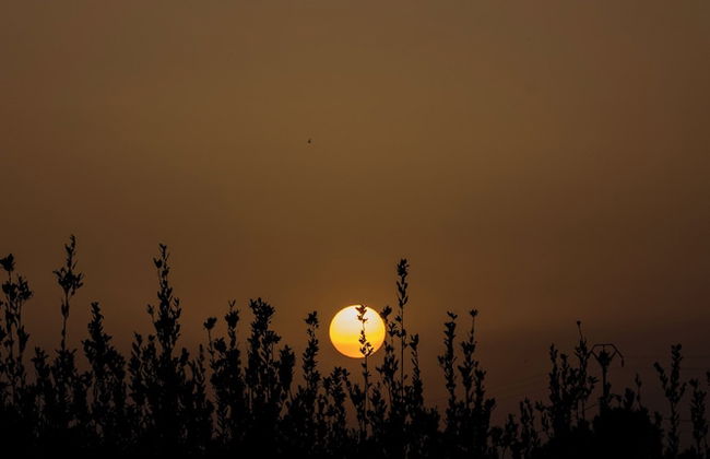 Agua Green Resort - Foto 33