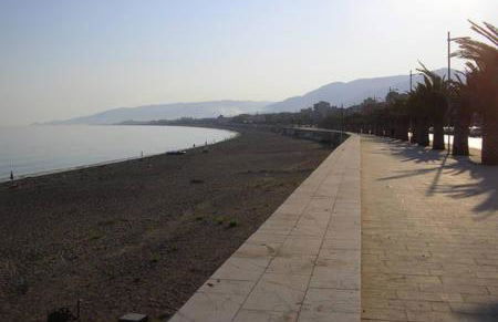 Ambra di mare - Foto 16