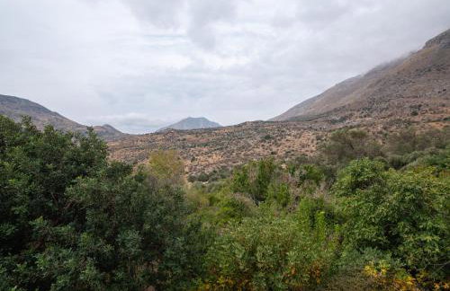 Ornus Traditional House - Foto 22