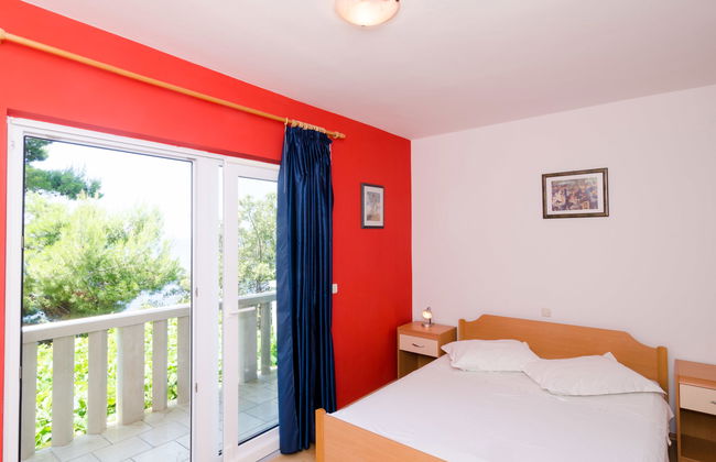 Plavac Mali - Photo 17