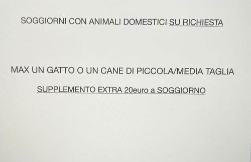 Profumo Di Legno, PaLù vacanze - Foto 8