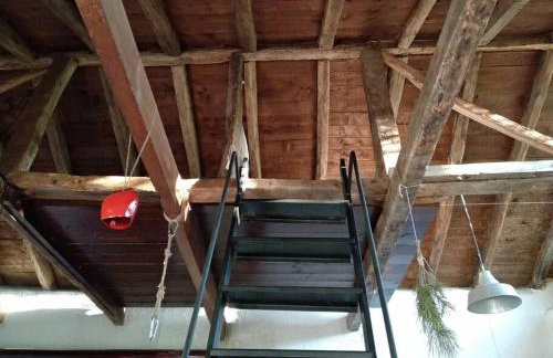 Dendrocopos Medius - Photo 2