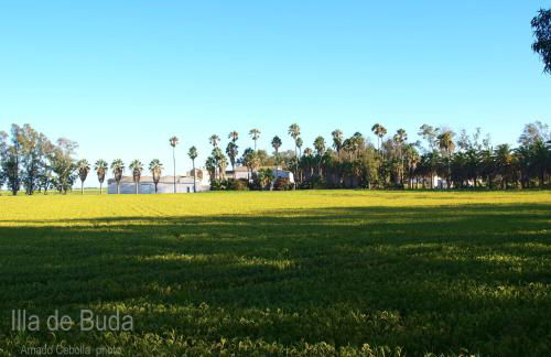 Villa Paquita - Delta de l'Ebre - Foto 35