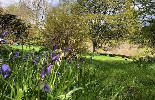 Kirkton Cottage whole house in Cairnie Aberdeenshire - Photo 23