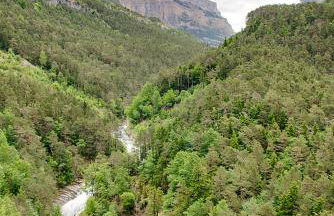 Apartamentos Casa Español - Foto 6