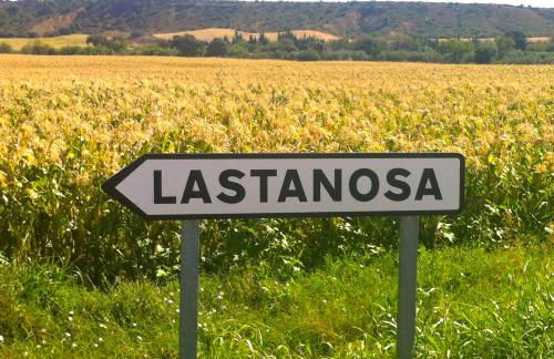 Los Chicos de Lastanosa Hotel y Restaurante - Foto 26