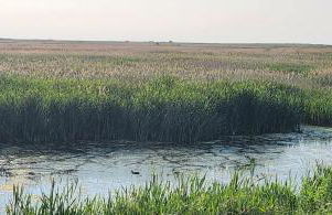 2 High Silver House - Foto 39