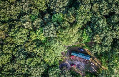 Family Cabin on 6 Acres with Lake Access and Hot Tub! - Foto 2