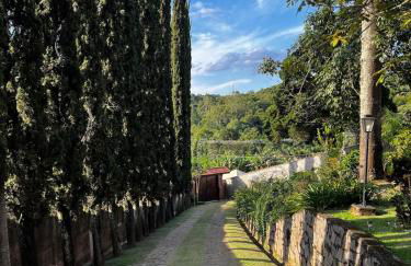 Chácara dos Pinheiros - Foto 50