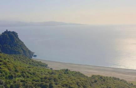 Les Terrasses du Maquis - Foto 1