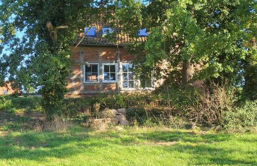 Altes Backhaus Bauernhof Vogel - Foto 17