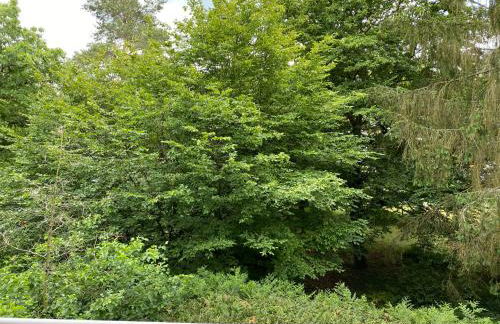 Family Apartment - Foto 22